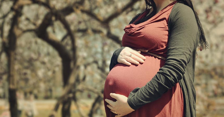 Un Tribunal admite la exencin de la prestacin por maternidad y acuerda su devolucin